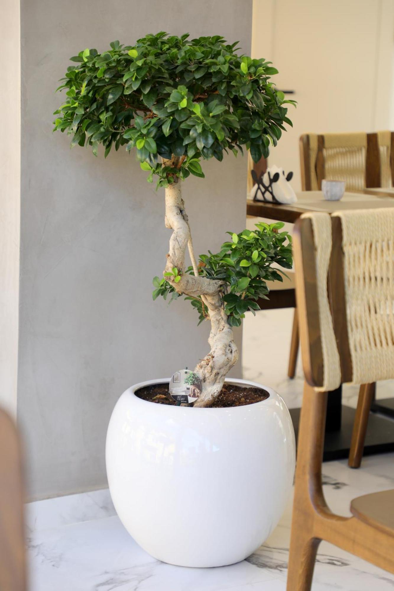 Niklas Boutique Hotel Sarande Luaran gambar